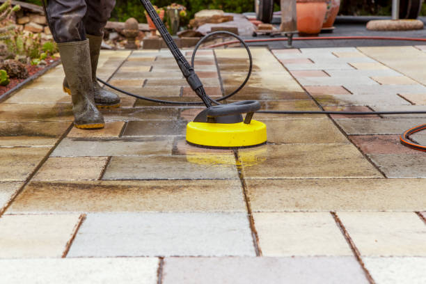 Best Pre-Holiday Cleaning  in Sterling, IL